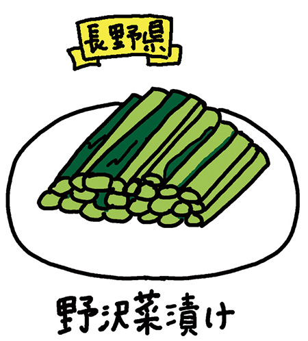 長野県「野沢菜漬け」/日本全国の発酵食品