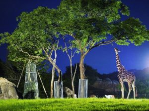 のんほいパーク ナイトZOO（愛知県）