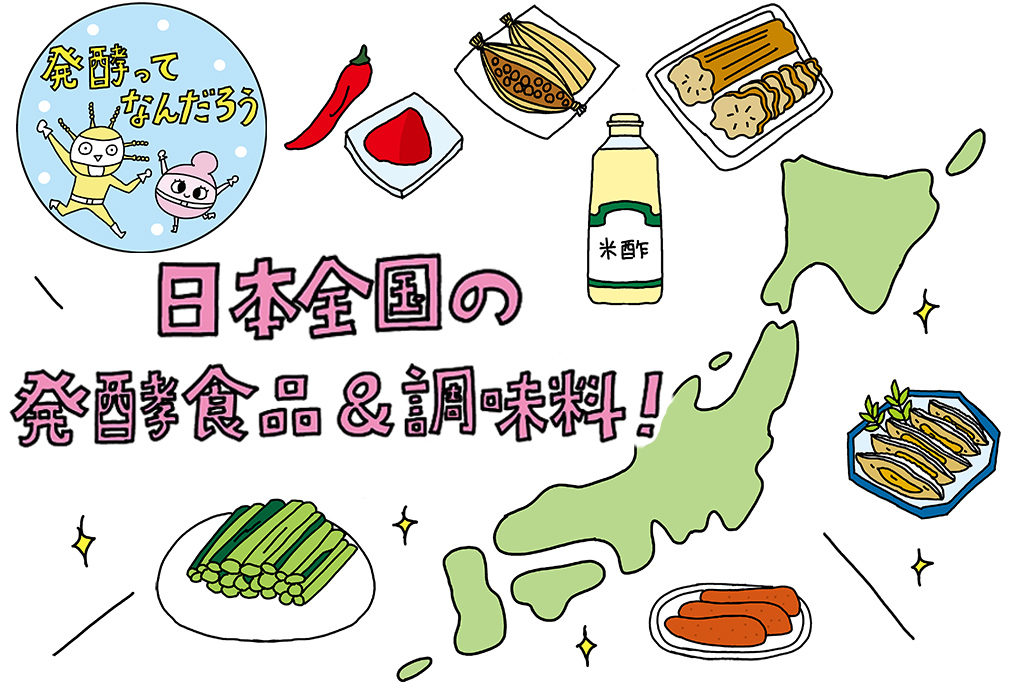 発酵食品の一覧をマップで見てみよう！日本各地の代表例を紹介