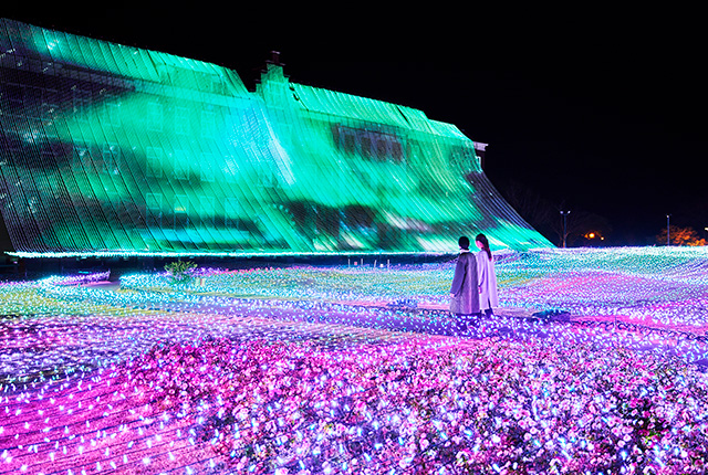 光が波打つようにきらめく「光のオーロラガーデン」 /ハウステンボス（長崎県/佐世保市）