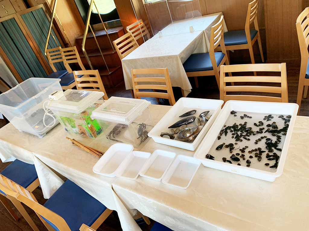 クルーズ船「ひまわり」船内/スイスク～淀川を船上から学び楽しむ水上スクール～（大阪府/大阪市）