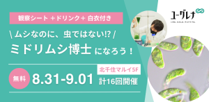 東京・北千住マルイで「ミドリムシ博士になろう!」開催 生物のおもしろさをワークショップで体験