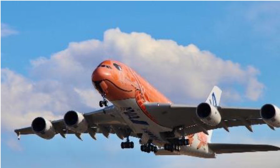 ANA被告気│「空の日フェスティバル2024」/成田空港(千葉県/成田市)