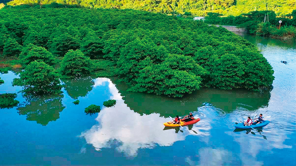 カヤック体験ツアー/ わんさか大浦パーク（沖縄県／名護市）