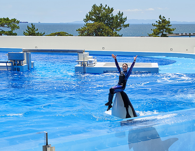 シャチの口部分に座るトレーナーさん/神戸須磨シーワールド(兵庫県/神戸市)
