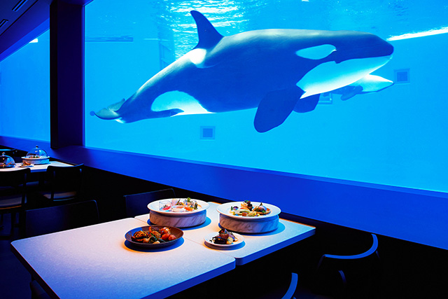 広い窓からシャチが泳ぐ姿を見ることができるレストラン/神戸須磨シーワールド(兵庫県/神戸市)