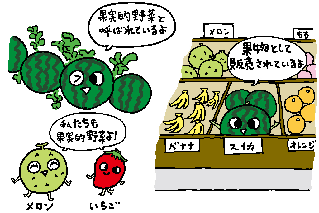 すいかはフルーツ?それとも野菜?