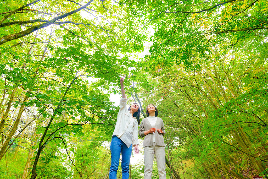 TAOYA日光霧降（栃木県／日光市）　