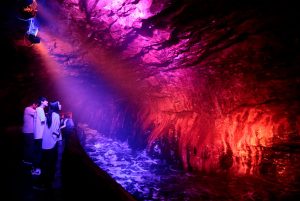 和歌山・三段壁洞窟で「星降る洞窟ナイトウォーク」開催 500万個の星がきらめく神秘的なプラネタリウムを満喫