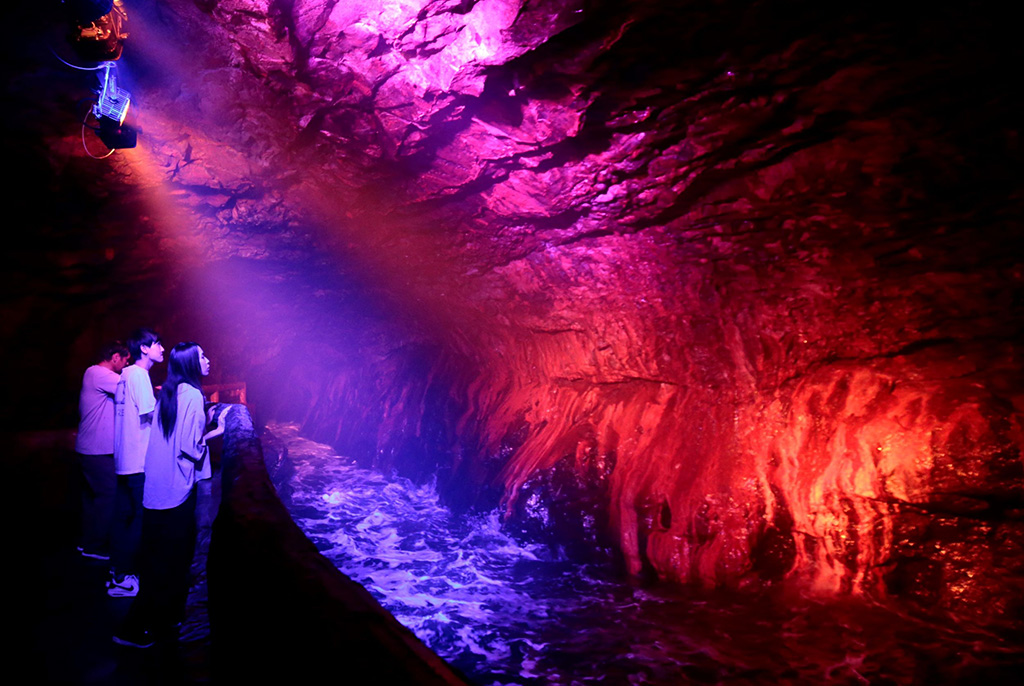 星降る洞窟ナイトウォーク（和歌山県/白浜町）