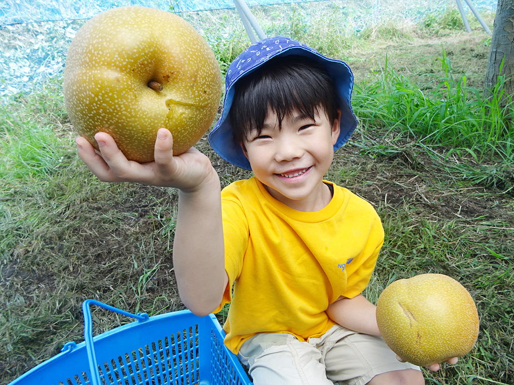 FRUIT PARK YOKHAMA 芝口果樹園（神奈川県/横浜市）