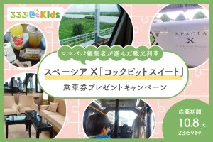 【観光列車の特別座席プレゼント】スペーシア Xのコックピットスイート　走るスイートルームの贅沢を体感！