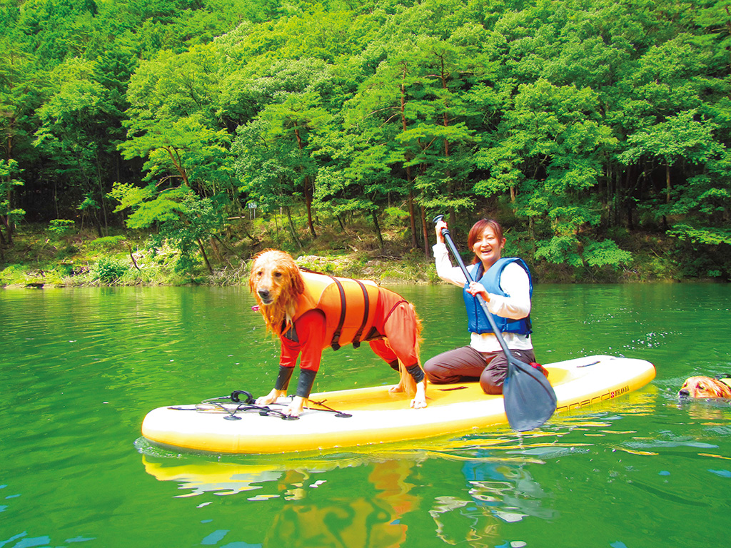 SUP(スタンドアップパドルボード)/NAOC(栃木県/日光市)