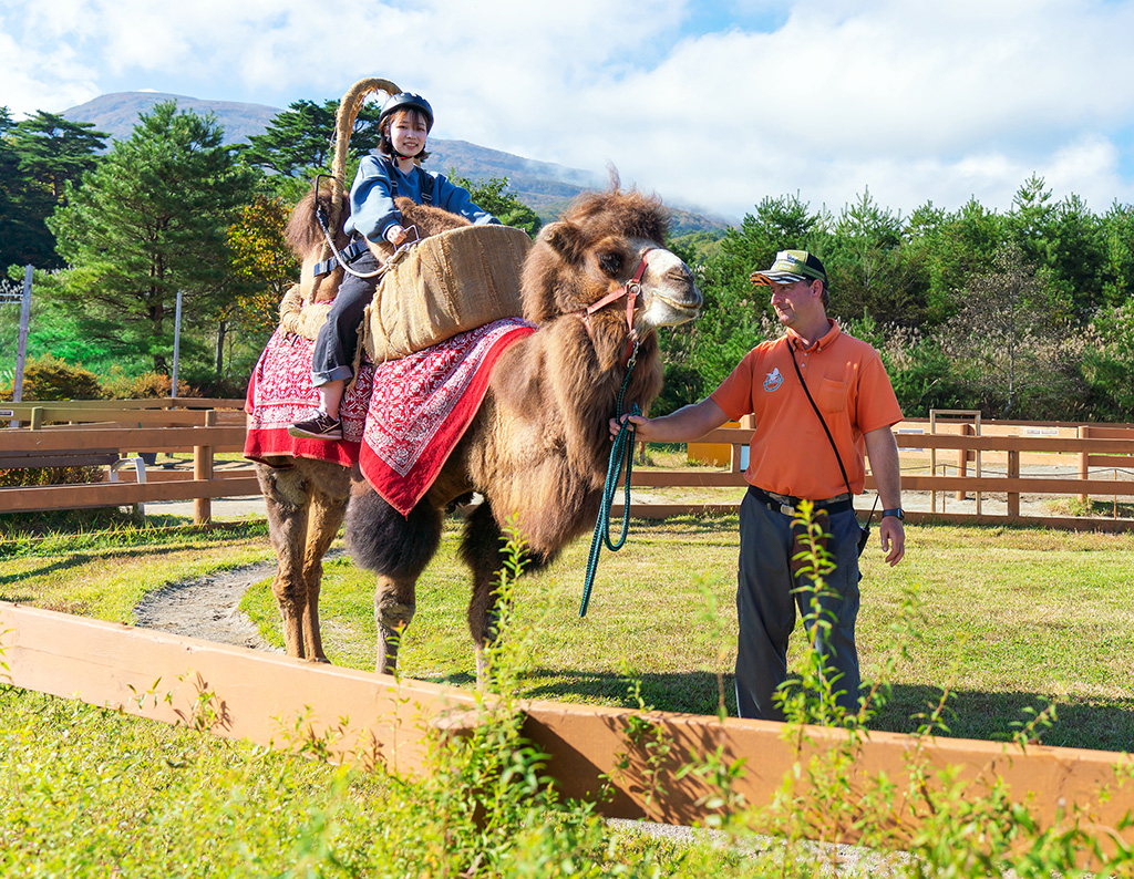 2つのコブの間に座ってコースを1周/那須どうぶつ王国(栃木県/那須町)