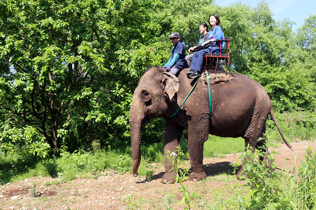 ゾウライド/那須ワールドモンキーパーク（栃木県／那須町）