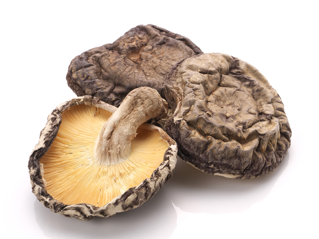 シイタケ(イメージ)