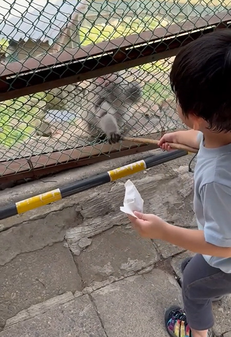 鬼怒川温泉ロープウェイ頂上にある「おさるの山」でのエサやり体験/日光・鬼怒川親子鉄道旅レポート（栃木県日光市）