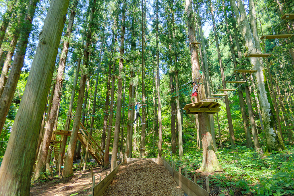 高所のアスレチックもスリル満点／フォレストアドベンチャー・湯沢中里