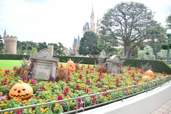 カボチャや墓石がある花壇│「ディズニー・ハロウィーン」/東京ディズニーランド（千葉県/浦安市）
