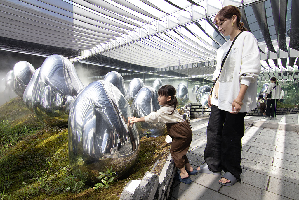 「呼応する小宇宙の苔庭 - 固形化された光の色」/チームラボプラネッツ TOKYO DMM.com（東京都/江東区）