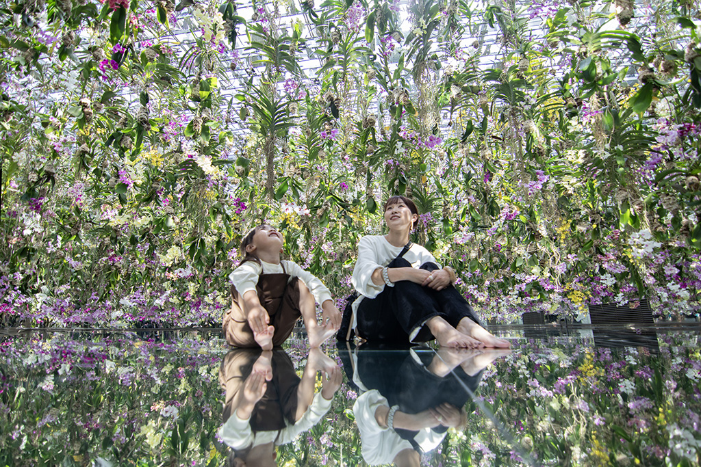 /チームラボプラネッツ TOKYO DMM.com（東京都/江東区）