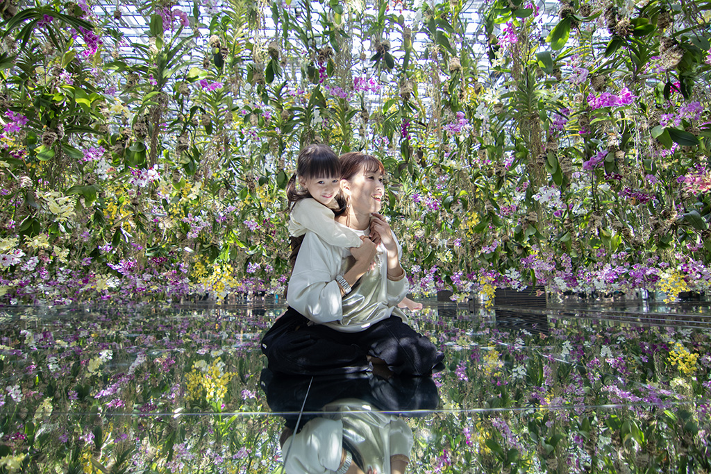 「Floating Flower Garden: 花と我と同根、庭と我と一体」/チームラボプラネッツ TOKYO DMM.com（東京都/江東区）