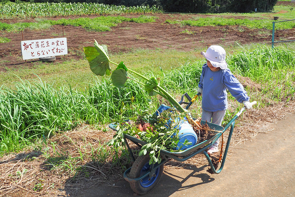 小山農園（千葉県/成田市）