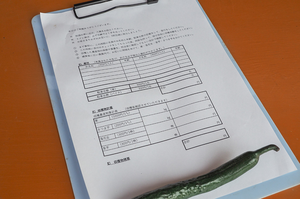 受付用紙/小山農園（千葉県/成田市）