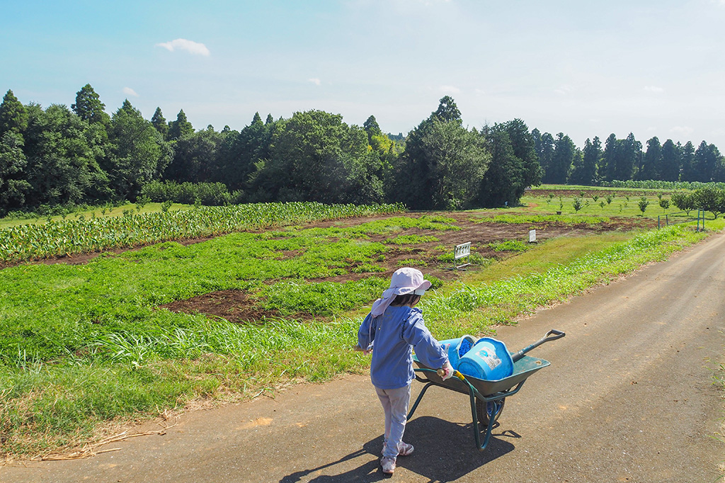 さつまいも畑へ行く様子/小山農園（千葉県/成田市）