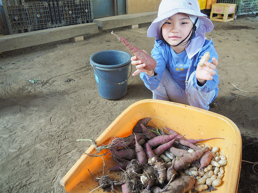 収穫した秋の味覚/小山農園（千葉県/成田市）