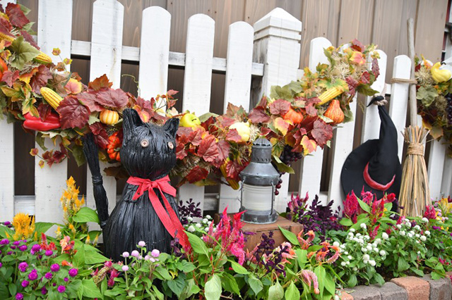 ケープコッドのデコレーション/東京ディズニーシー(千葉県/浦安市)