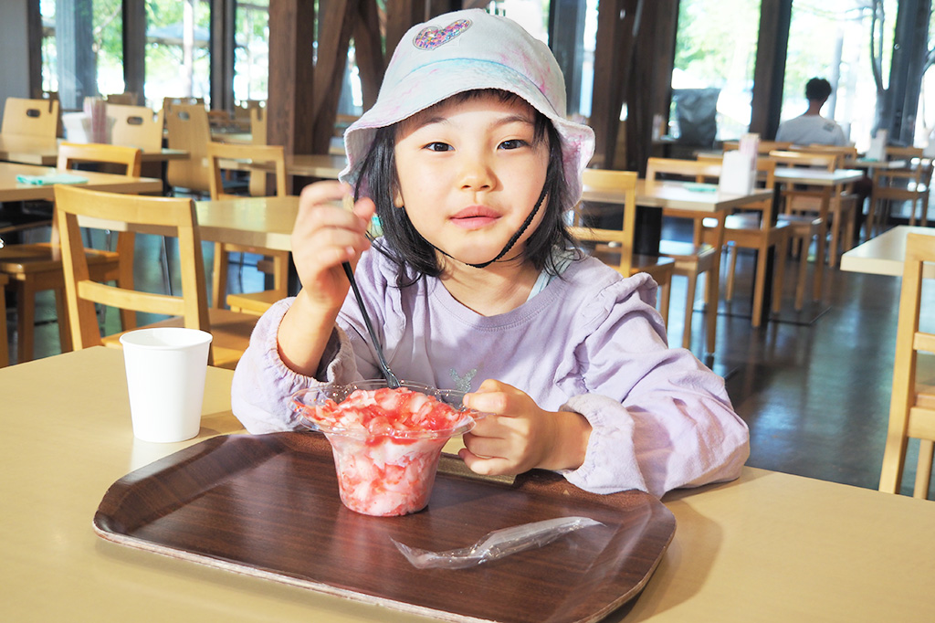 レストランファームキッチンの名物かき氷「丸ごといちご削り氷」のハーフサイズを食べる様子/成田ファームランド(千葉県/成田市)