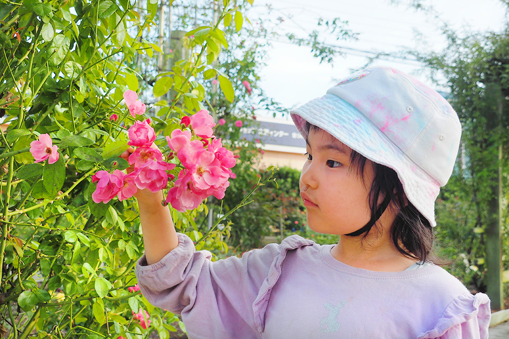 園内にあるバラ園/成田ファームランド(千葉県/成田市)