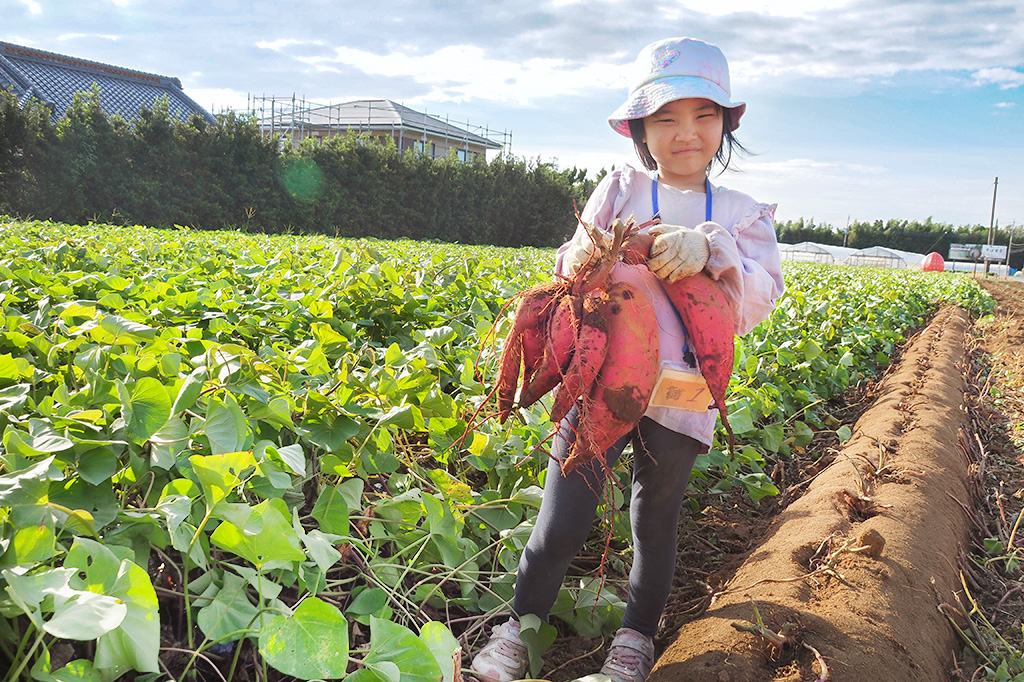 成田ファームランド(千葉県/成田市)