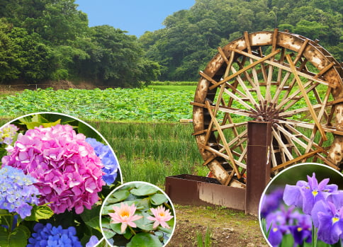 園内にあるフラワーパーク/成田ファームランド(千葉県/成田市)