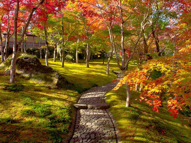 箱根美術館（神奈川県／足柄下郡箱根町）