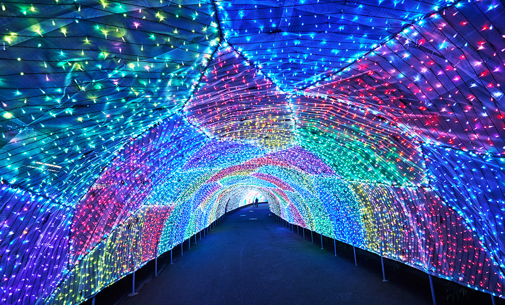 トンネル「クリスタル・パサージュ」/よみうりランド(東京都/稲城市)