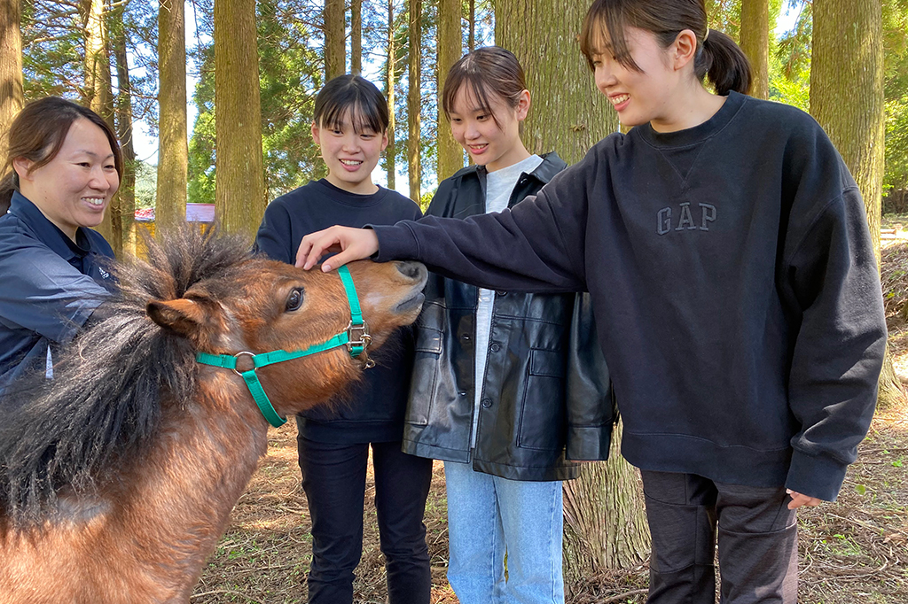 近くの施設にはポニーや馬たちがお出迎え♪/アドベンチャーパーク森のかわなべ（県南九州市）