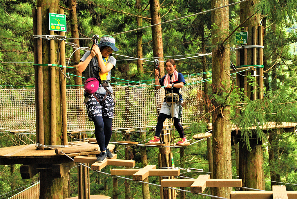 31種類の木の上で遊ぶアスレチック/フォレストアドベンチャー・祖谷(徳島県/三好市)