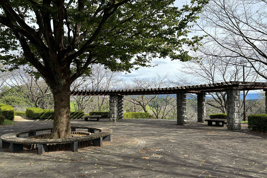 園内写真/菊池公園（菊池市）