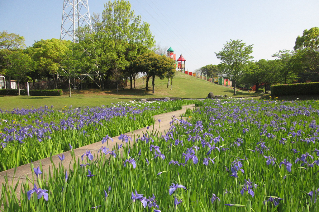 自然を観察しながら冒険できる/諏訪公園(大牟田市)