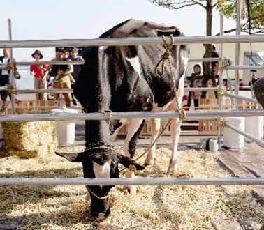 牛/ワクワク・ゴクゴク・パクパク　土日ミルクフェス2024（東京都/江東区）
