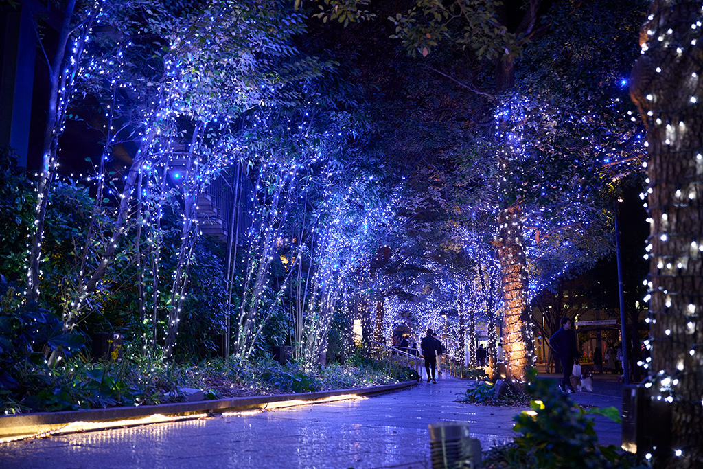 東京スカイツリータウン「ドリームクリスマス2024」（東京都/墨田区）