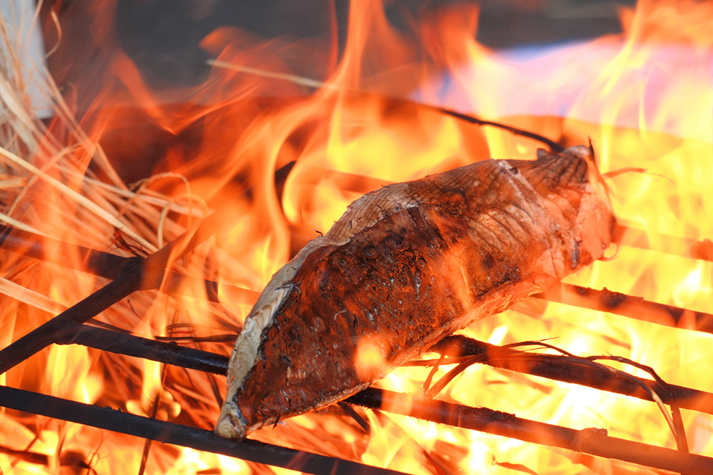 カツオのたたき　イメージ/高知県の特産品「カツオ」