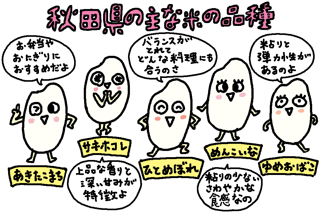 秋田県の主な米の種類/秋田県の特産品「米」