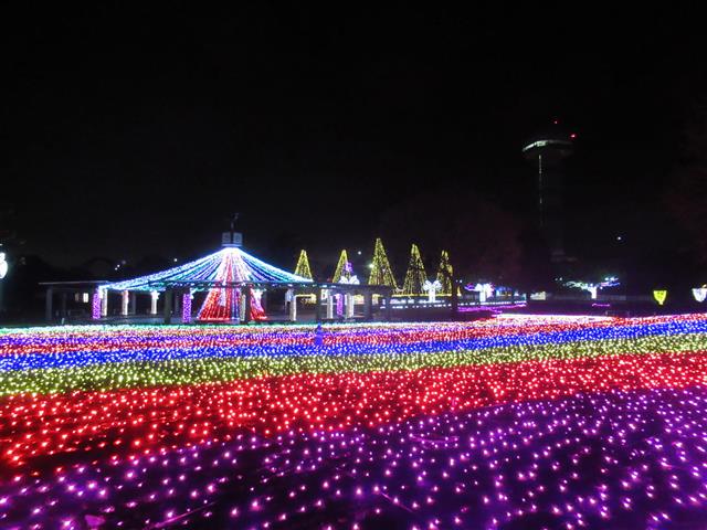 冬の光物語／国営木曽三川公園 木曽三川公園センター