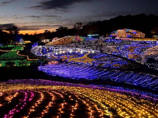 国営讃岐まんのう公園　ウィンターファンタジー（香川県／仲多度郡まんのう町）