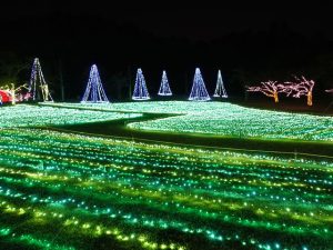 九州・沖縄のイルミネーション19選（2025-2026）遊園地や無料の公園など子連れにおすすめ