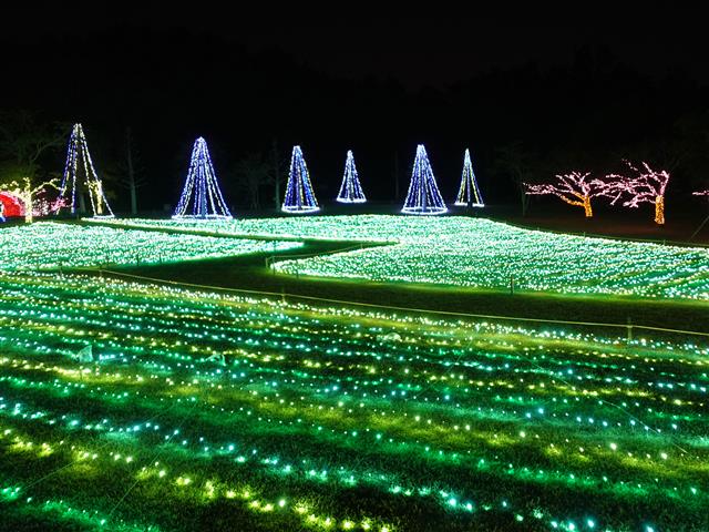 フラワーパークイルミネーション 2025（鹿児島県／指宿市）