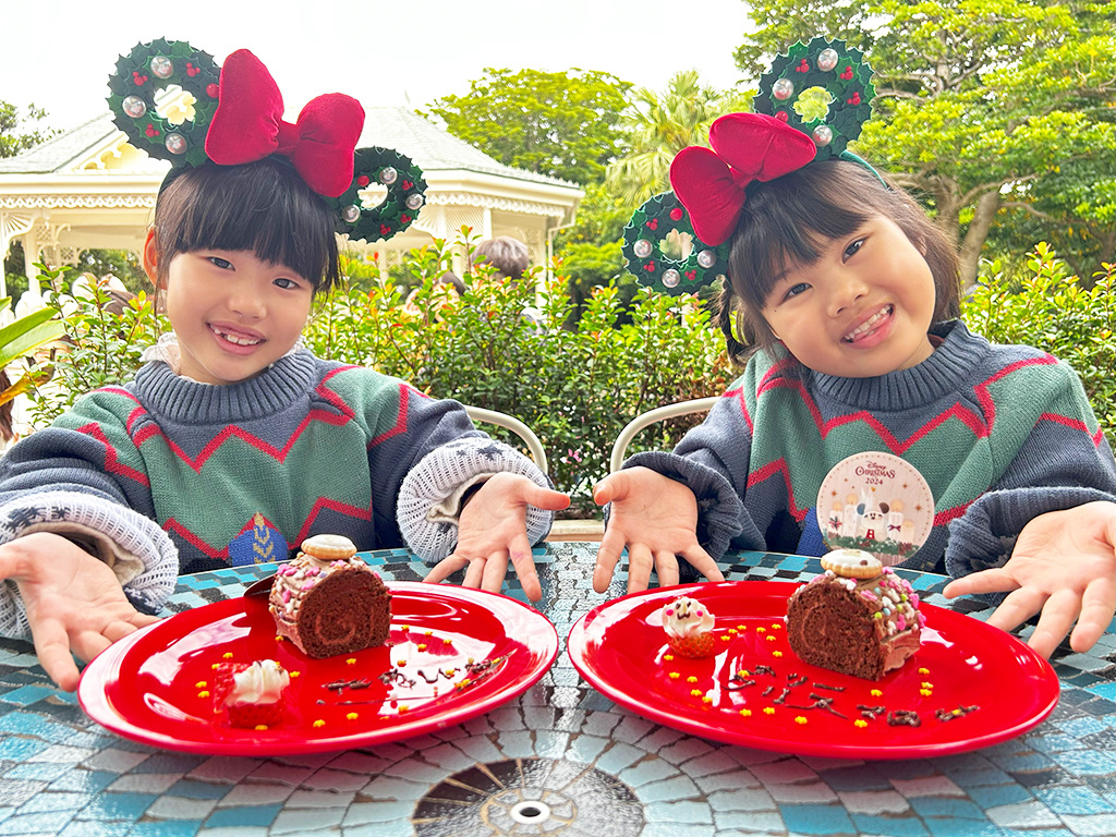 東京ディズニーランドのクリスマス（千葉県/舞浜市）